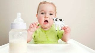 laptele mamei, lapte praf, lapte de vaca,