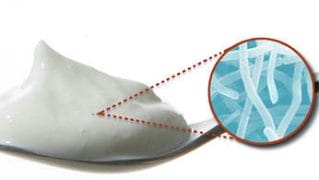 iaurt, probiotice, bacterii,