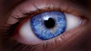 Ochii albastri, culoarea ochilor,