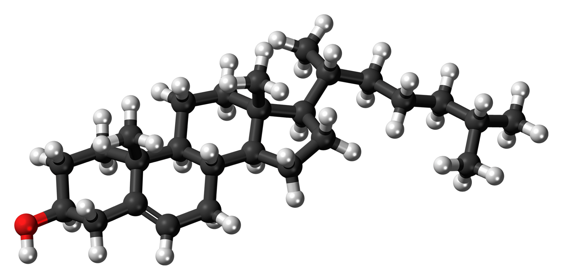 Cholesterol_molecule_ball