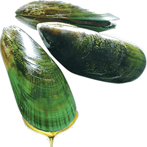 antiinflamator, Tripernol,