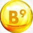 Vitamina B9