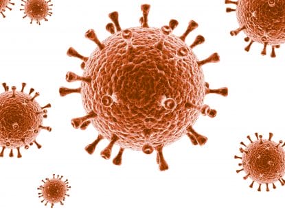 virusul hepatic, hepatita,