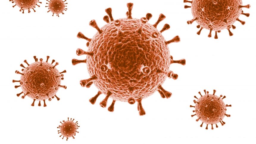 virusul hepatic, hepatita,