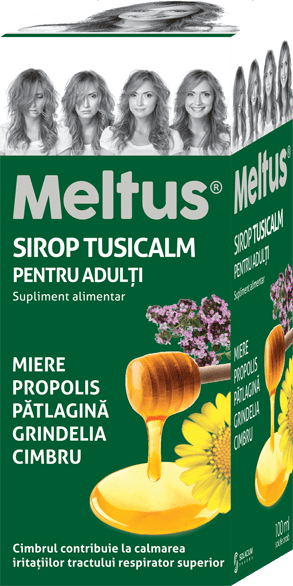 Meltus adulti