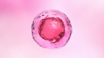 celulele stem, nastere,