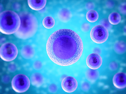 stem cells, Stem Sure, autistic child,