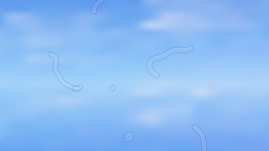 vederea incetosata, miodezopsie,