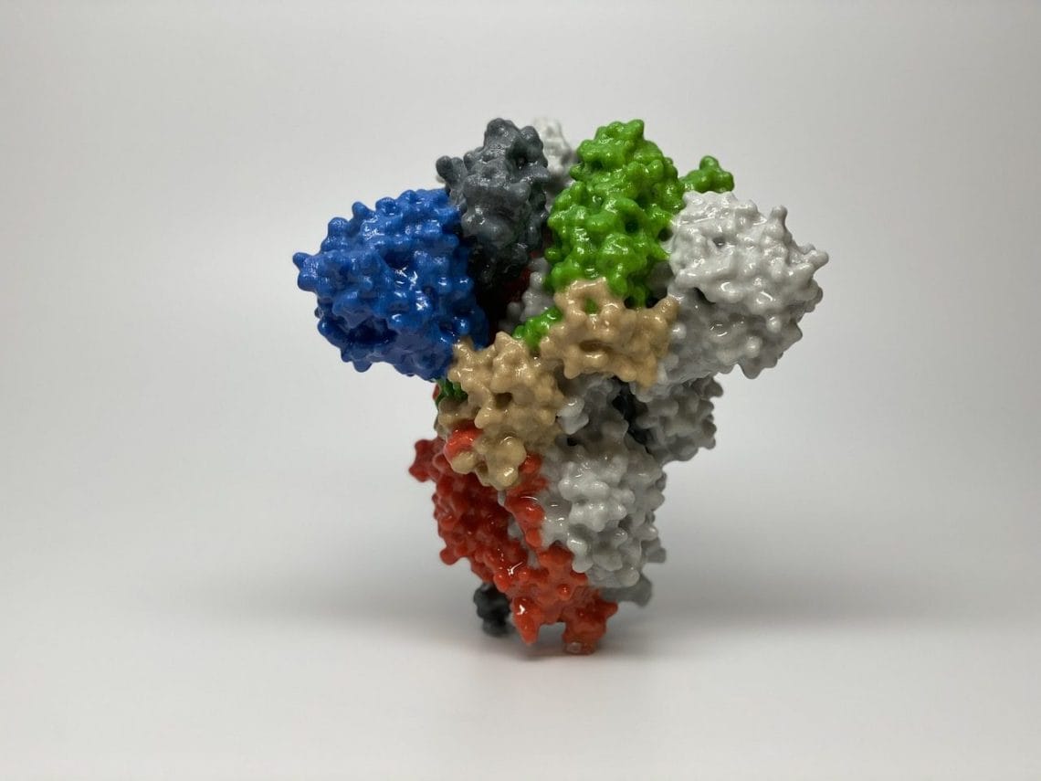 Proteina tepusa a coronavirusului