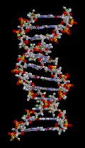 ADN, COVID-19,
