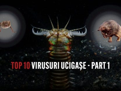 virusuri ucigase