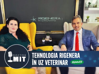 Tratament, artroza, caine,