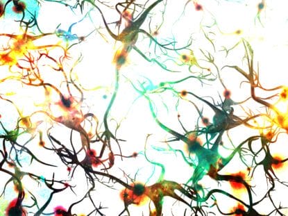 ASIGURARE PENTRU AUTISM, STEMCARE,