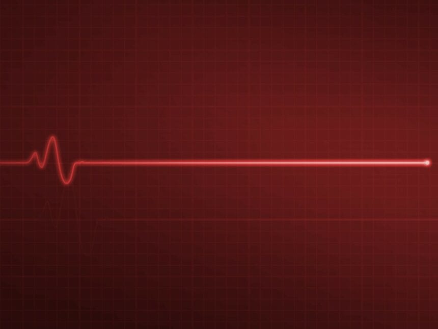 batai de inima, inima,