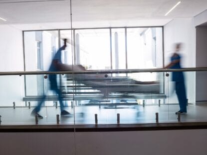 marii arsi, Rigenera,