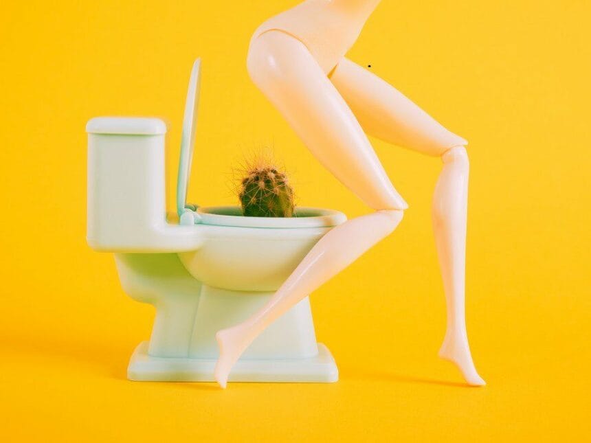 capacul de veceu, bacterii, virusuri, toaleta,