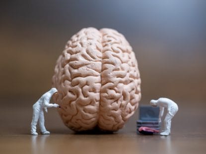 creier, capacitatea creierului, inteligenta,