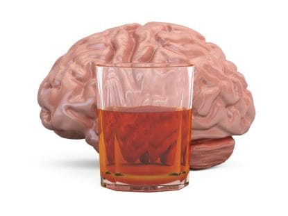 alcoolul, creierul, neuronii,