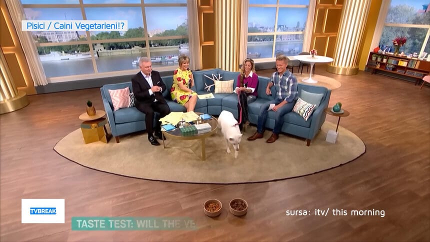 Vegancat vegan tvbreak