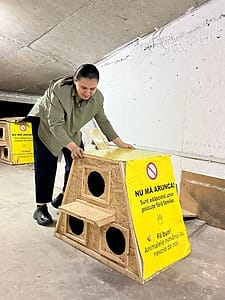 cusca pisici, protectia animalelor,