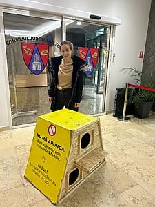 Consiliului Județean Ilfov, pisici, 