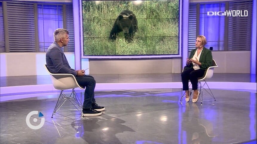 Urbanizare, salbaticie, ursii, DIGIPEDIA,