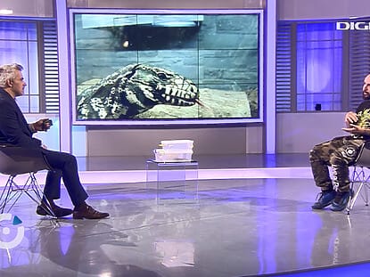 protectia ecosistemelor, mediul, ecologie, reptile, Digipedia,