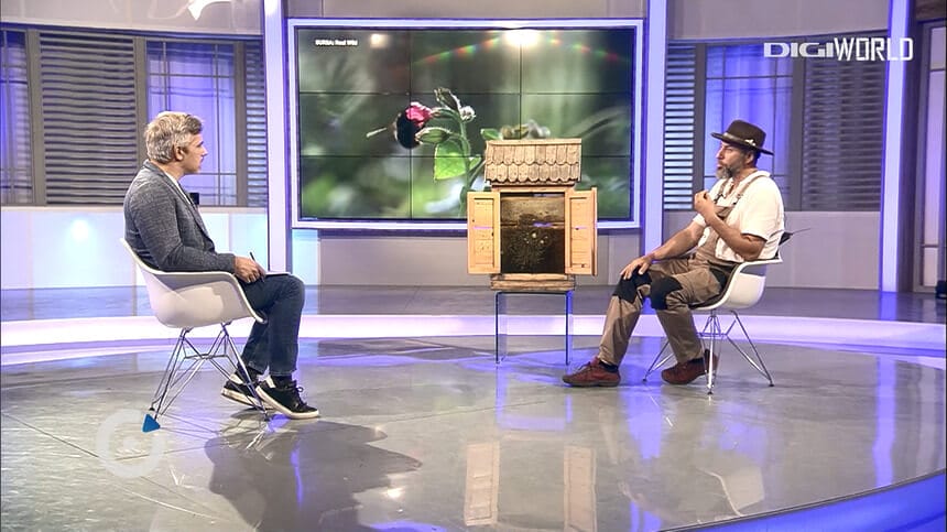 apicultura, albinele, ecosistem, Stupina IGNA,