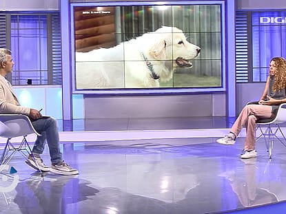 educatie, empatie, animale, Digipedia,