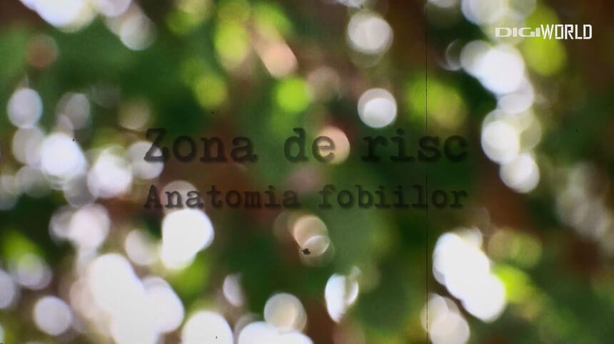Zona de risc, Anatomia Fobiilor, Digi World,