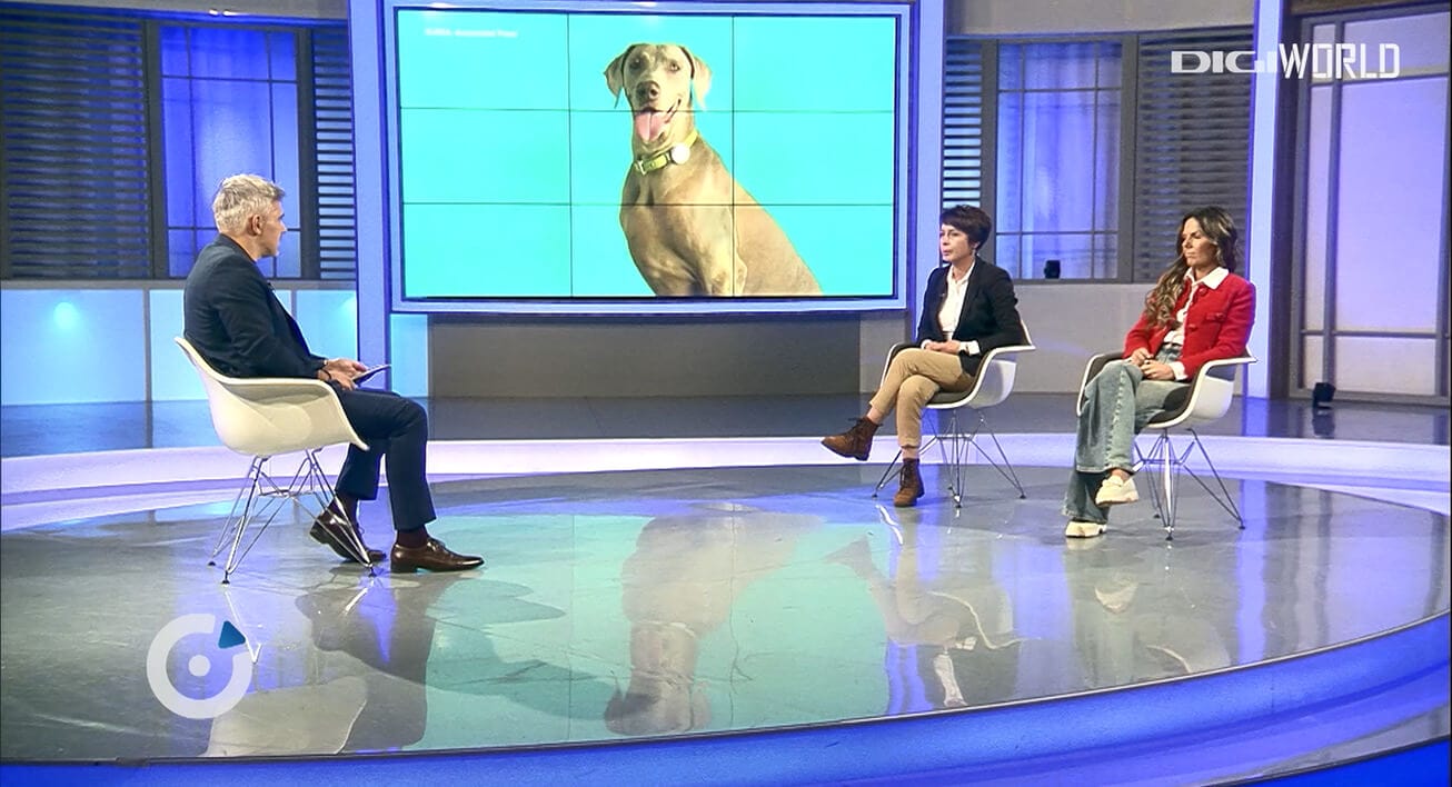 Digipedia, pet educatie, animale,