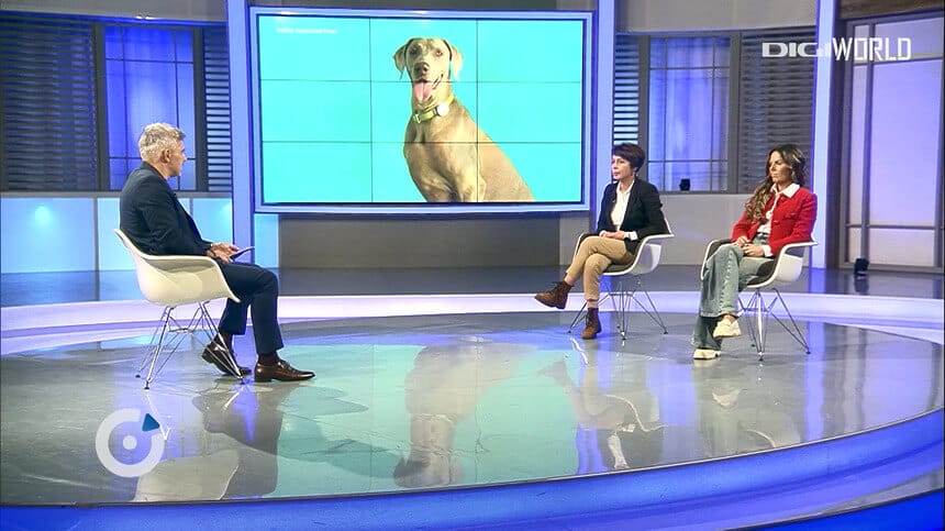 Digipedia, pet educatie, animale,