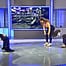 Digipedia, sportul, stiinta miscarii,